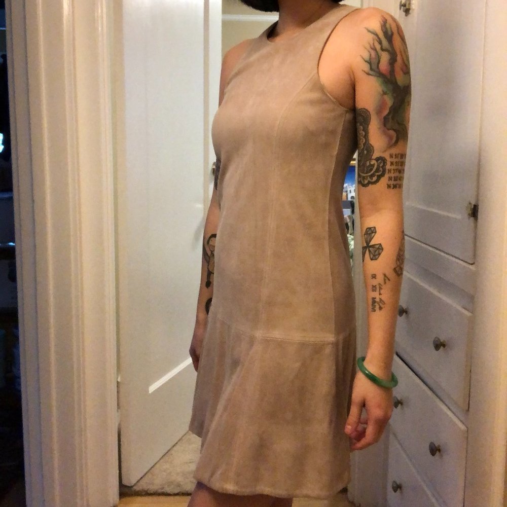 Joie Goat Leather Dress